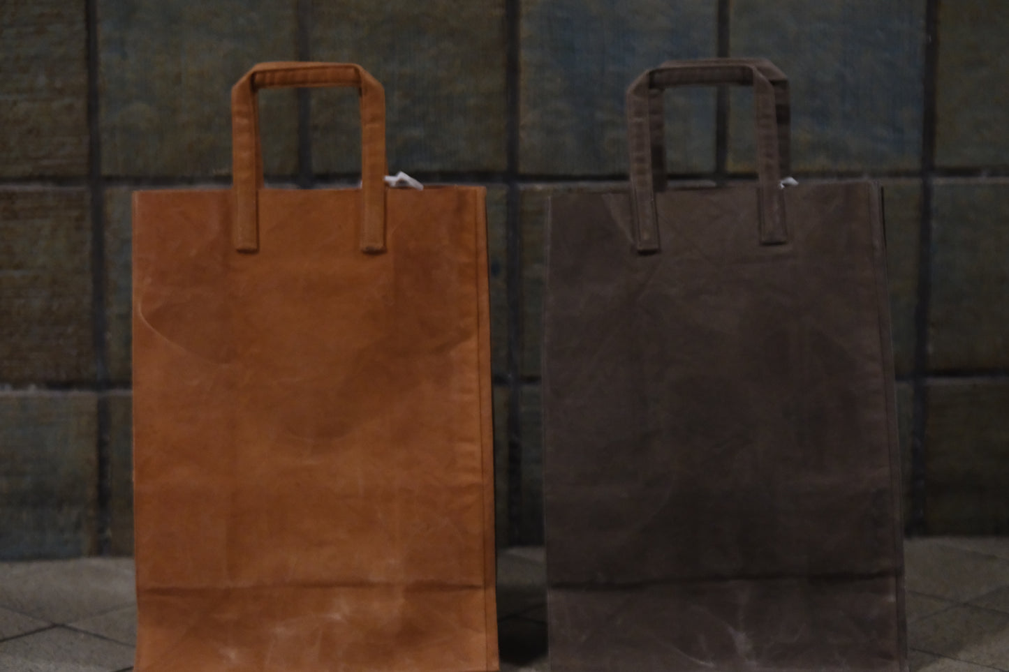 LIBRARY BAG (図書館鞄) / 瀧川かずみ (KAZUMI TAKIGAWA)