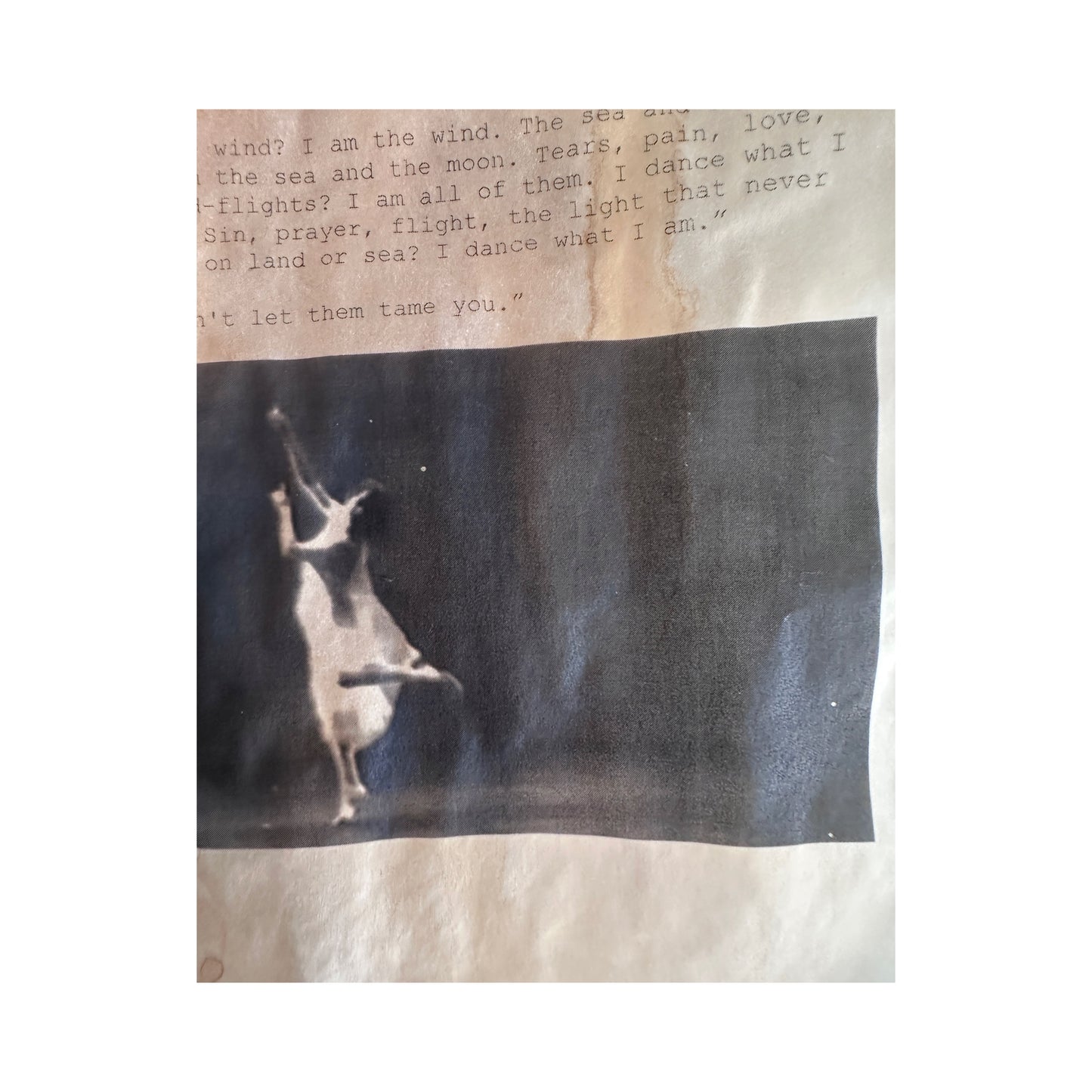 Isabella Stefanelli / (XVI)_ISADORA_SOFLA