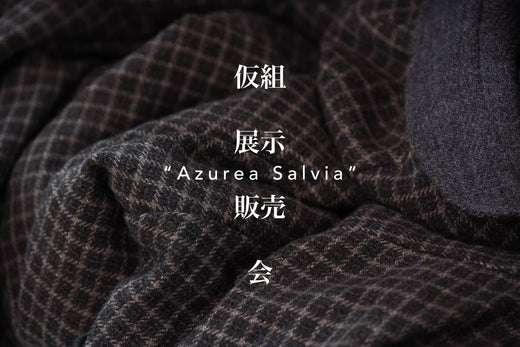 Azurea Salvia  『仮組展示販売会』