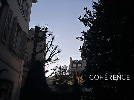 2025AW Coherence  Exhibition.