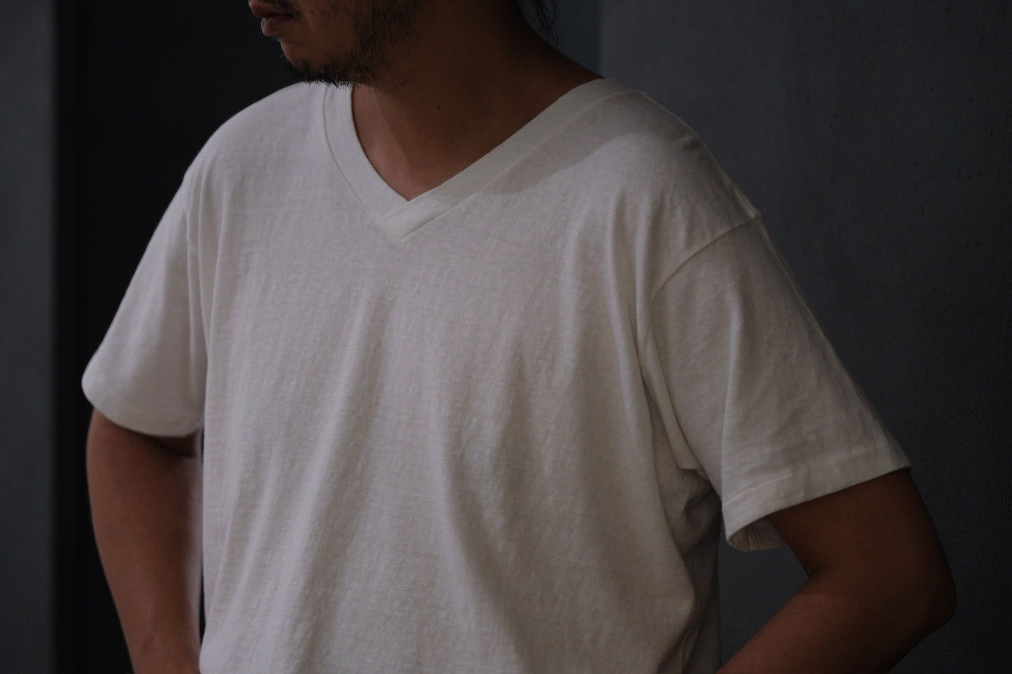Special In Ordinary / 04 R.A.F. V-Neck Tee/ PLASTER