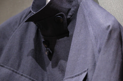 Coherence / ROBERT-P  D.BLUE