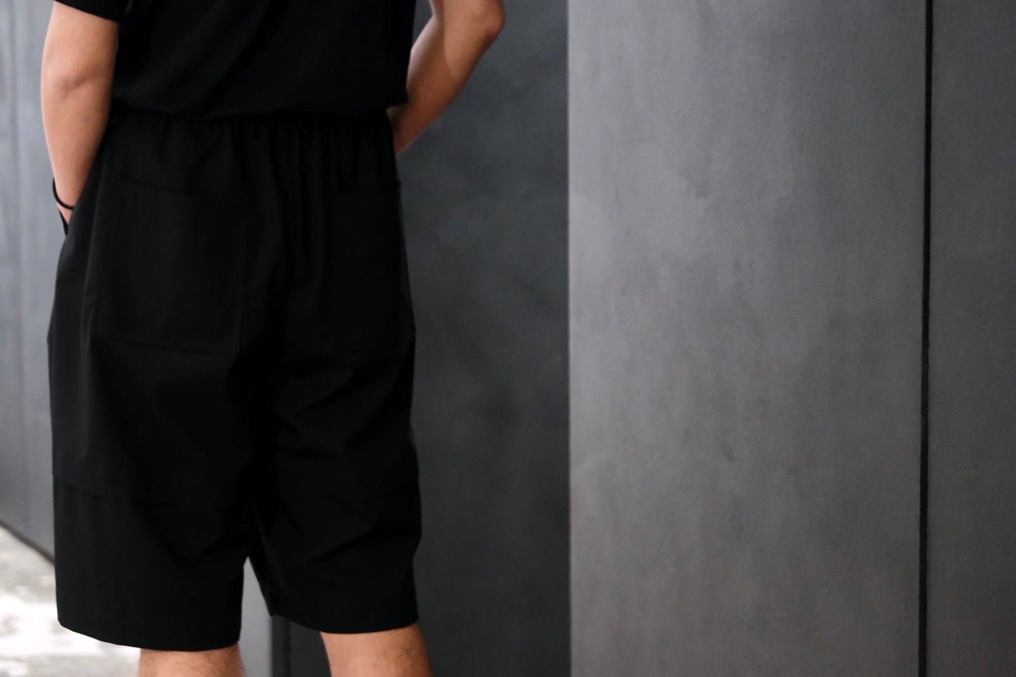 nonnotte/Pleat Dock Shorts Trousers/Eau de Tailleur / W N