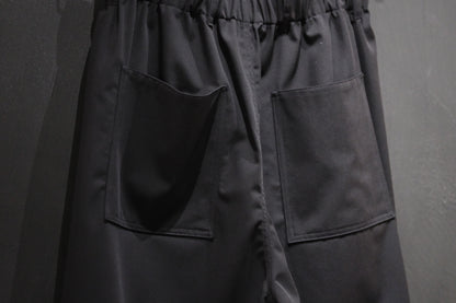 nonnotte/Pleat Dock Shorts Trousers/Eau de Tailleur / W N