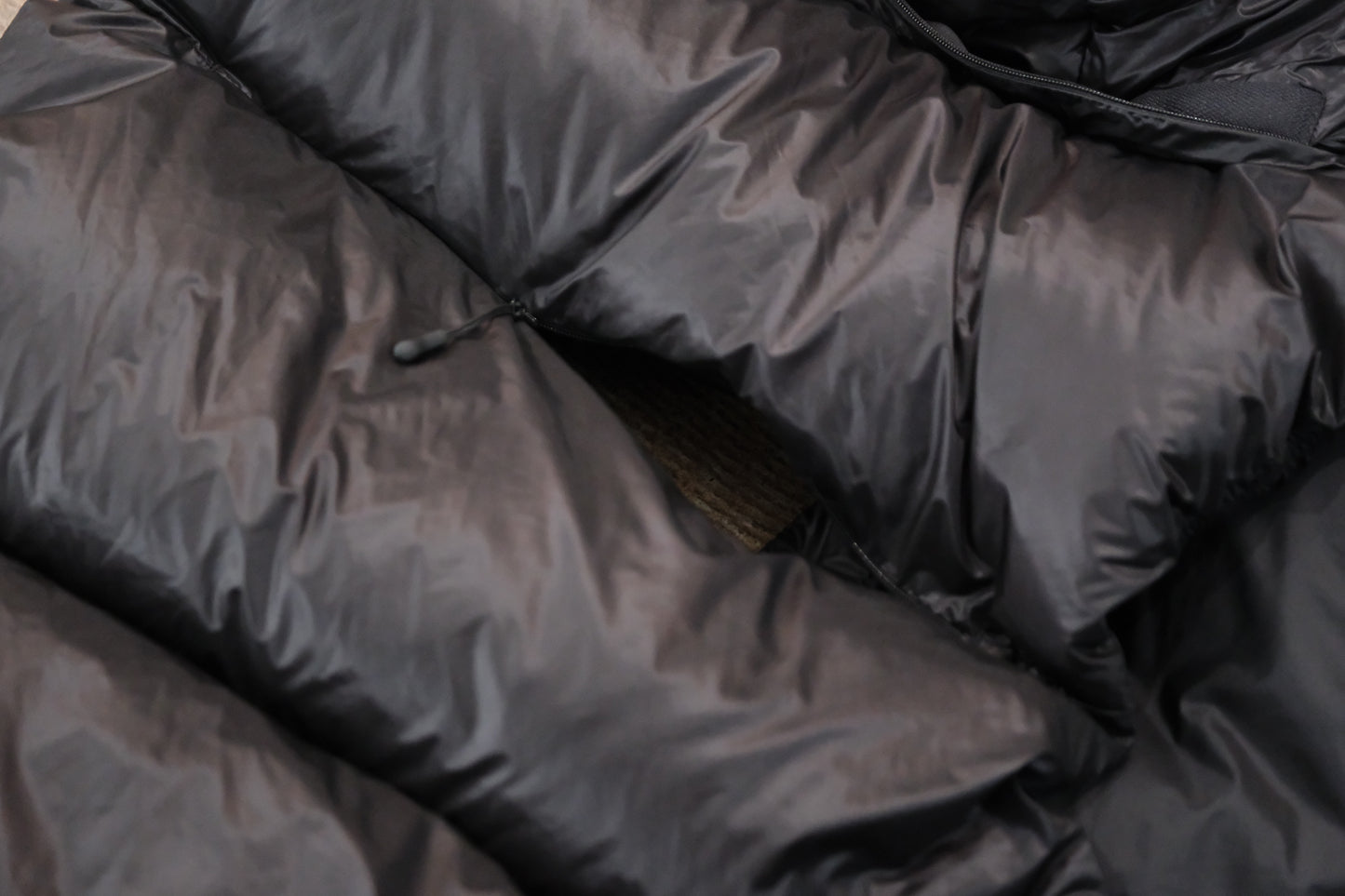 NORMAL EXPERT/　FLOAT PANEL / NEX24-D01