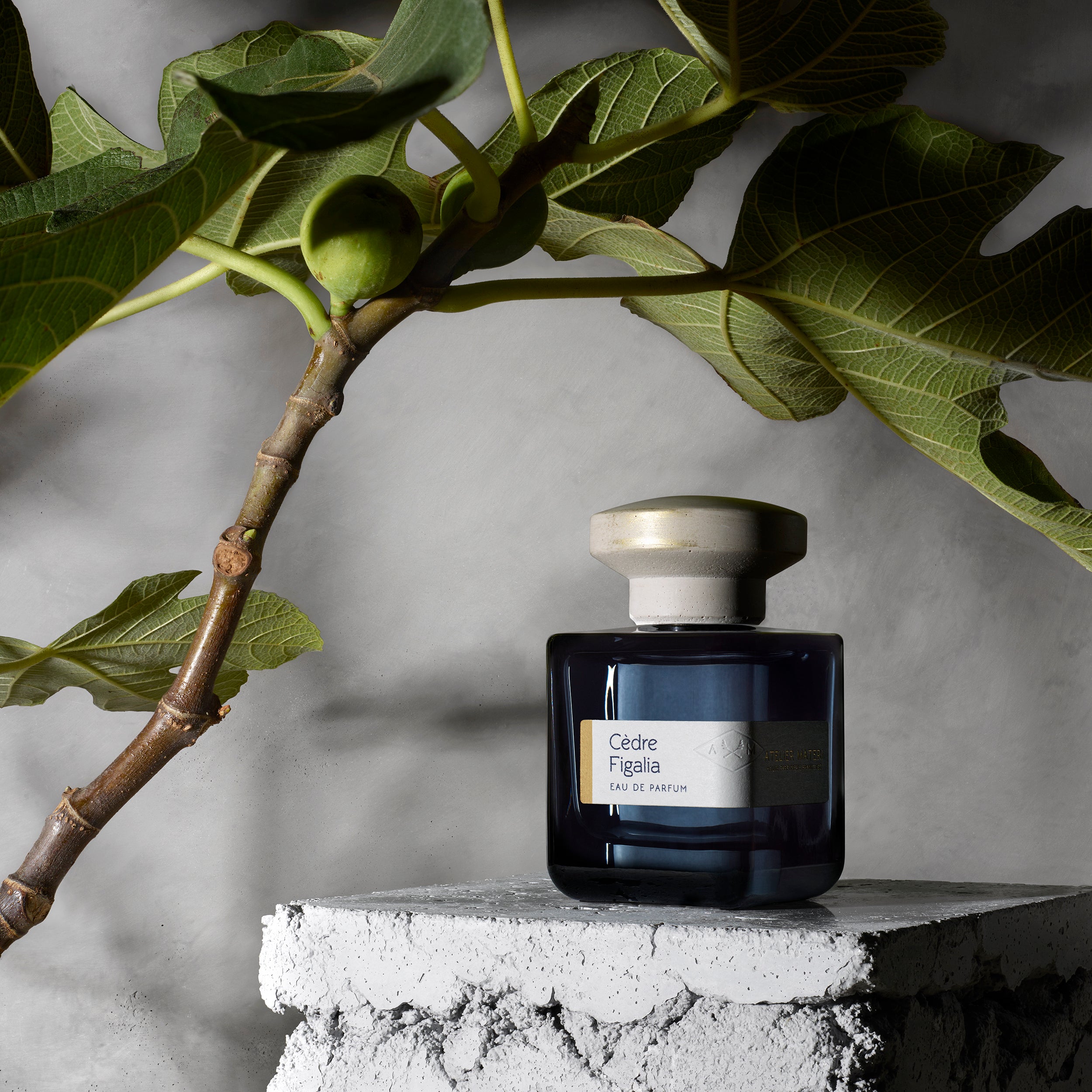 ATELIER MATERI / CÈDRE FIGALIA – Lister