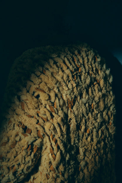 GOOD KARMA DEVELOPMENT/MOUTON CARDIGAN " CHARLIE "/BEIGE