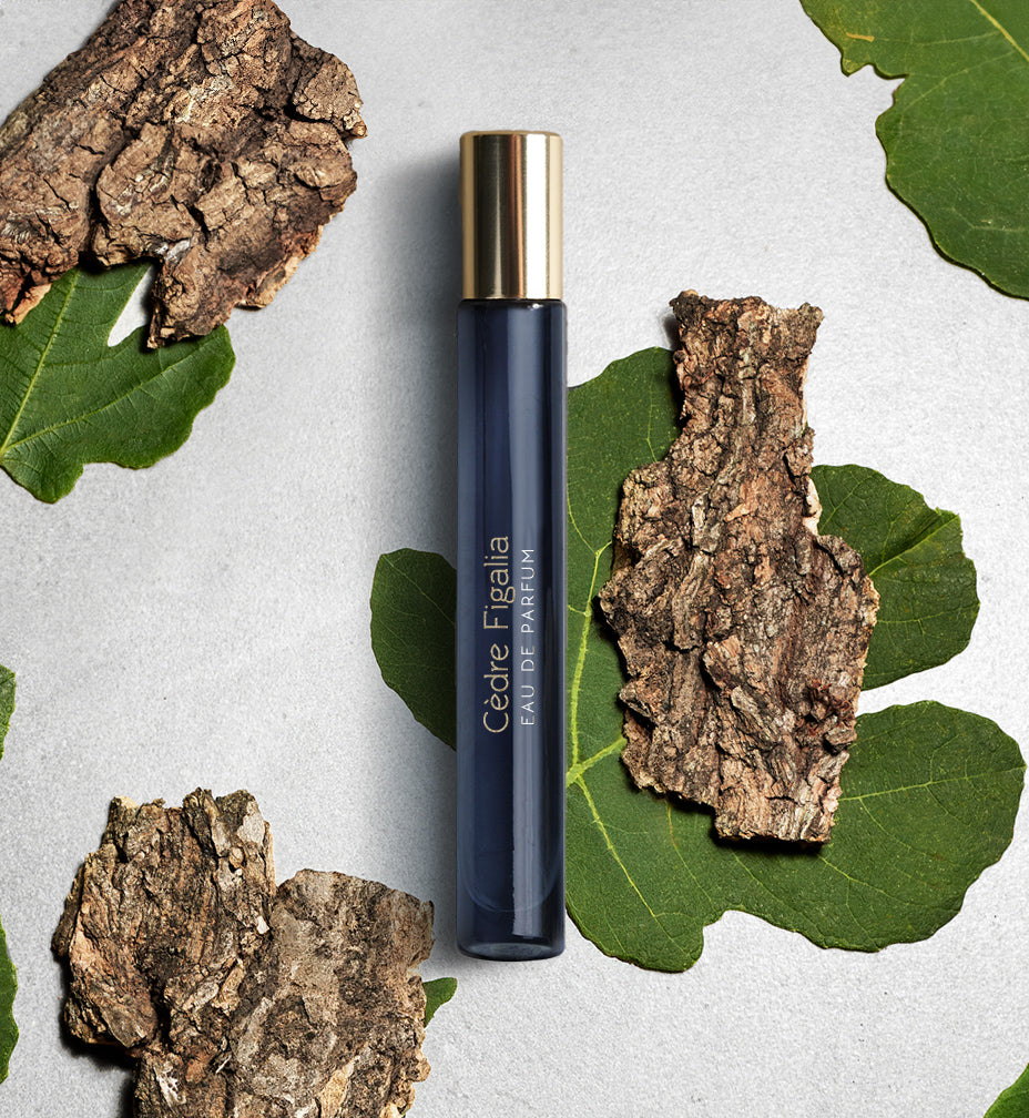ATELIER MATERI / CÈDRE FIGALIA