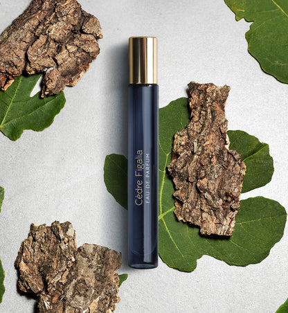 ATELIER MATERI / CÈDRE FIGALIA