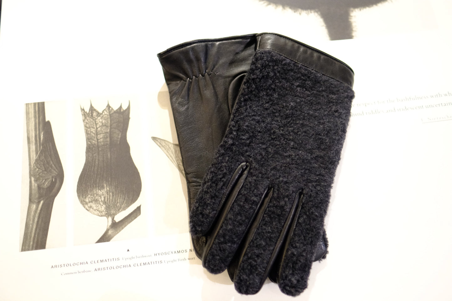 Cashmere Boa Gloves